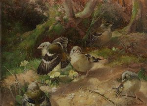 Na floresta feliz de Charles Henry Clifford Baldwyn