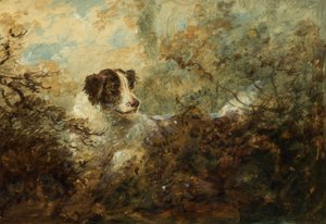 Cachorro (óleo a bordo)