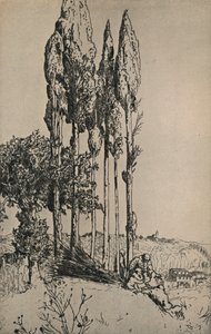 Ciprestes perto de Siena, 1903