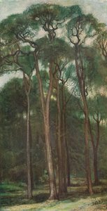 Estudo das árvores, c1900 1903-1904