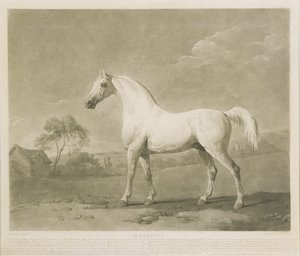 Mambrino, depois de George Stubbs, 1788 (mezzotint)