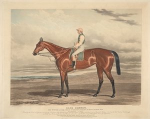 Corridas: Blue Bonnet. O vencedor das grandes St. Leger Stakes em Doncaster em 1842 de Charles Hunt