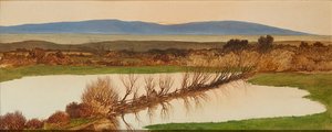 Sunset Over a Pond (óleo a bordo) de Charles Hutton Lear
