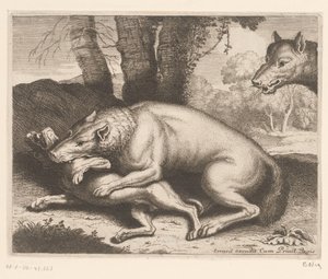 Cão atacado por um lobo Série Animal (título da série) de Charles II Errard (attributed to)