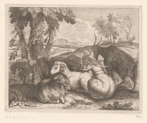 Ovelhas e cabras debaixo de uma árvore Série Animal (título da série) de Charles II Errard (attributed to)