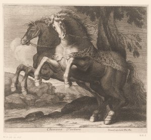 Cavalos de corrida
Chevaux Tartare (título sobre o objecto)
Série animal (título da série) de Charles II Errard (attributed to)