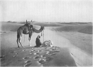 A oração do pôr do sol no deserto, c1913