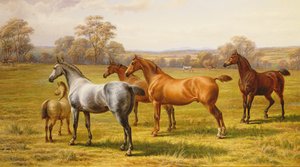 Cavalos e potro em um campo