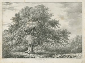 Lichfield - ["Dr. Johnson" s "] Willow Tree: litografia, nd [1789-1850]