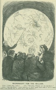 Microscopia para o "Milhões": 1878 (gravura)