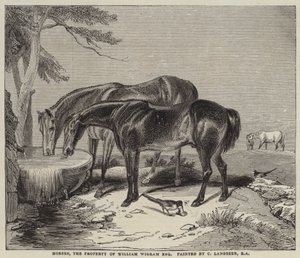 Cavalos, a propriedade de William Wigram, Esquire