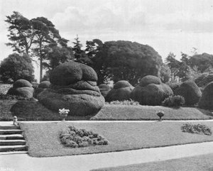 Gradação de Yews de Charles Latham