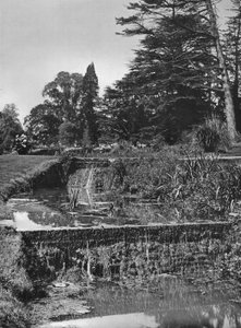 As cachoeiras do jardim de Charles Latham