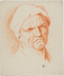 Cabeça de um velho de Charles Le Brun