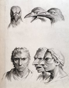 Perfis de pássaro e "homem-pássaro" - por Lebrun, em "Treats of the physiognomy of man compared to that of animals" (Tratamentos da fisionomia do homem em comparação com a dos animais)