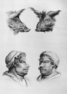 Semelhanças entre a cabeça de um javali e um homem, de "Um livro de retratos para quem começa a desenhar", de Le Brun