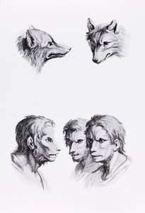 Semelhanças entre a cabeça de um lobo e um homem, de "Um livro de retratos para quem começa a desenhar", de Le Brun