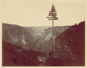 Vale de Yosemite da trilha de Mariposa, c. 1865 de Charles Leander Weed