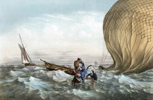 A bola dos Habs de Charles Leduc
