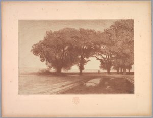 Suíte de Paisagens: Paisagem, Placa 8, Nota, Amores-perfeitos