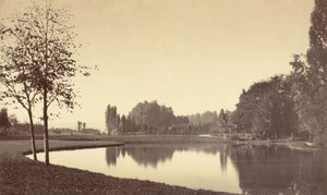 Bois de Boulogne de Charles Marville