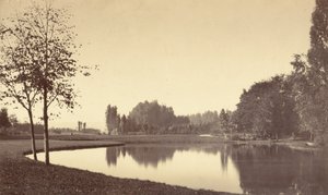 Floresta. de Charles Marville