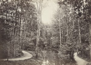 Lagoa Doe, Bois de Boulogne