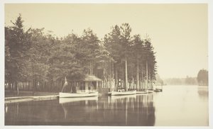Floresta. de Charles Marville