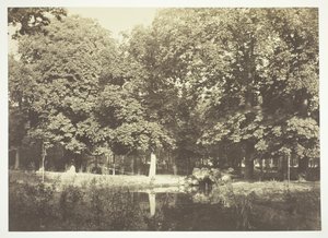 Floresta. de Charles Marville