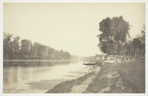 Sem título, c. 1850. [Árvores perto da água no Bois de Boulogne, um parque em Paris]. de Charles Marville
