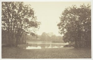Sem título, c. 1850. [Árvores perto da água no Bois de Boulogne, um parque em Paris]. de Charles Marville