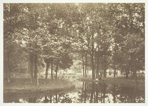 Sem título, c. 1850. [Árvores perto da água no Bois de Boulogne, um parque em Paris]. de Charles Marville