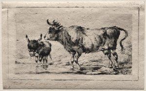 Vaca e burro de Charles Meryon
