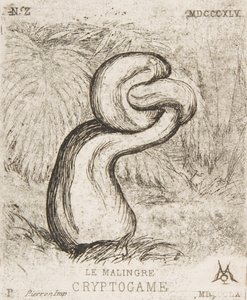 A insignificante Criptogamia, 1860. de Charles Meryon