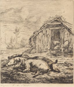 Os três porcos deitados na frente do estábulo (Três porcos deitados na frente de um chiqueiro) de Charles Meryon after Karel Dujardin