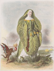 Nenúfar, de Les Fleurs Animées, 1847.