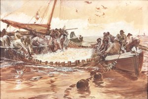 Estudo para &39;Pilchards&39; (bc e wc no papel) de Charles Napier Hemy