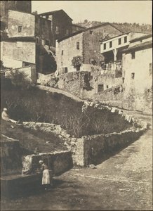 Floresta. de Charles Nègre