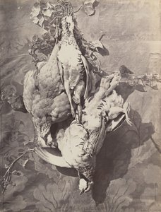 Floresta. de Charles Nègre
