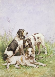 Um grupo de cães franceses