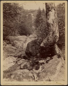 [Cascading Stream]. de Charles P. Hibbard