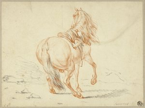 Cavalo sem cavaleiro de Charles Parrocel
