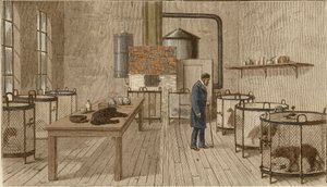 Cães em gaiolas dentro do laboratório de Louis Pasteur de Charles Paul Renouard