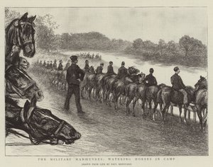 As manobras militares, regando cavalos no acampamento de Charles Paul Renouard