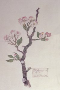 Apple, Walberswick, 1915 (lápis e wc)