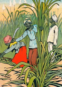 No trabalho entre os canaviais, 1912 de Charles Robinson