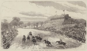 O Alexandra Park Races, Muswell Hill de Sir John Charles Robinson