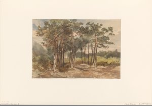 Grupo de árvores na floresta perto de Driebergen de Charles Rochussen