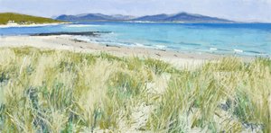 Ervas da praia, Berneray, 2011 (óleo sobre tela) de Charles Simpson