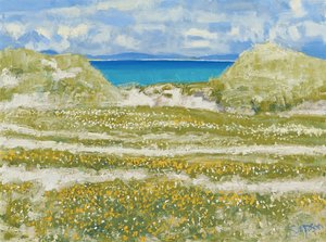 Vislumbre de Harris, 2014 (óleo sobre tela) de Charles Simpson